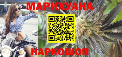 прущие грибы Будённовск