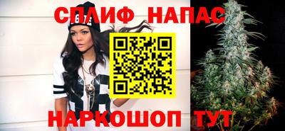 прущие грибы Будённовск