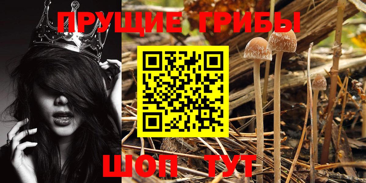 Псилоцибиновые грибы Magic Shrooms Янаул